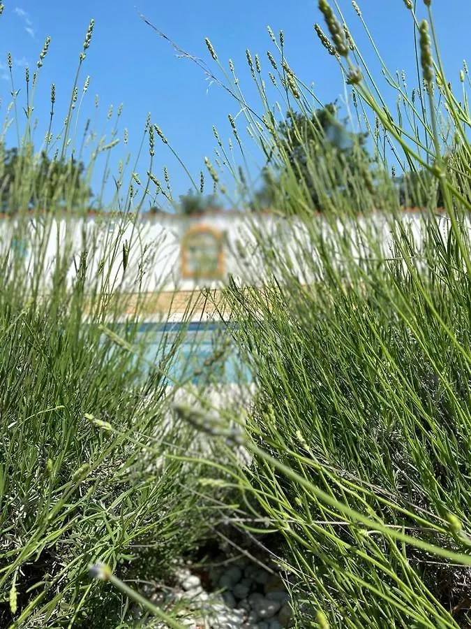 Отель Istrian House With Private Pool Ловречица